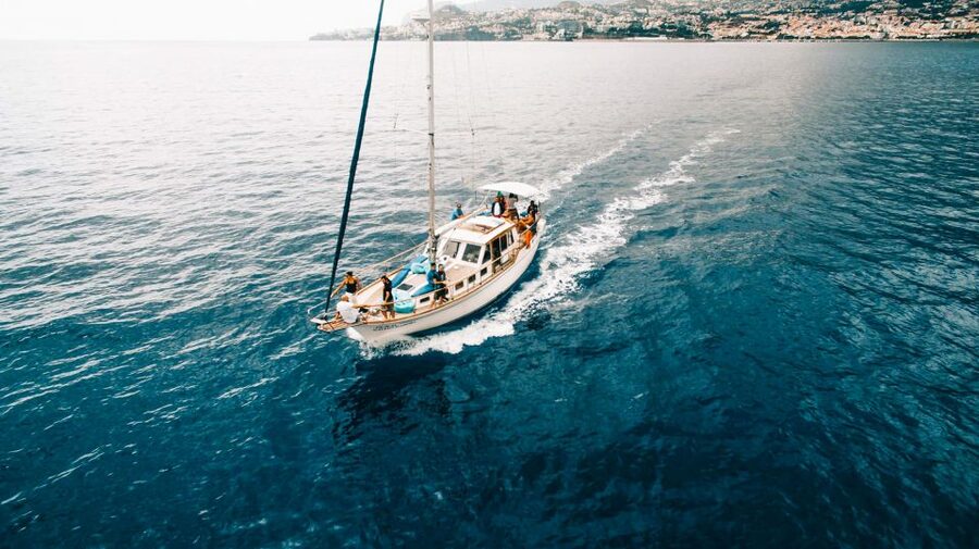 Funchal: Dolphin and Whale Watching Sunset Sailing Tour - Who will enjoy this sunset cruise most