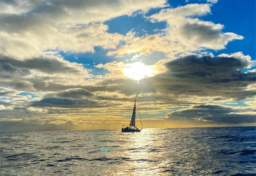 Funchal: Dolphin and Whale Watching Sunset Sailing Tour - Should you book it?