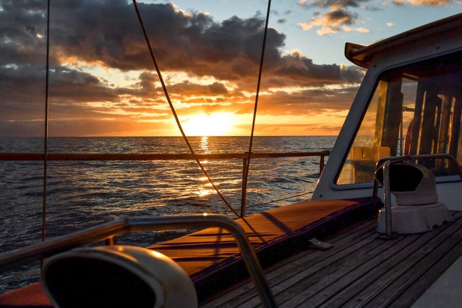 Funchal: Dolphin and Whale Watching Sunset Sailing Tour - The first hour: searching for marine life