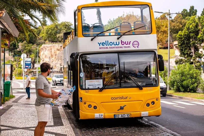 Funchal:Hop-on Hop-off Bus & Whale & Dolphin boat Excursion - Key points to know before you book