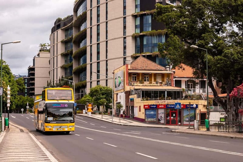 Funchal:Hop-on Hop-off Bus & Whale & Dolphin boat Excursion - Should you book this Funchal tour?