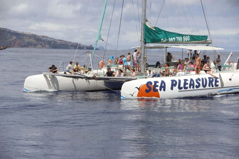 Funchal:Hop-on Hop-off Bus & Whale & Dolphin boat Excursion - The Funchal bus route, stop by stop