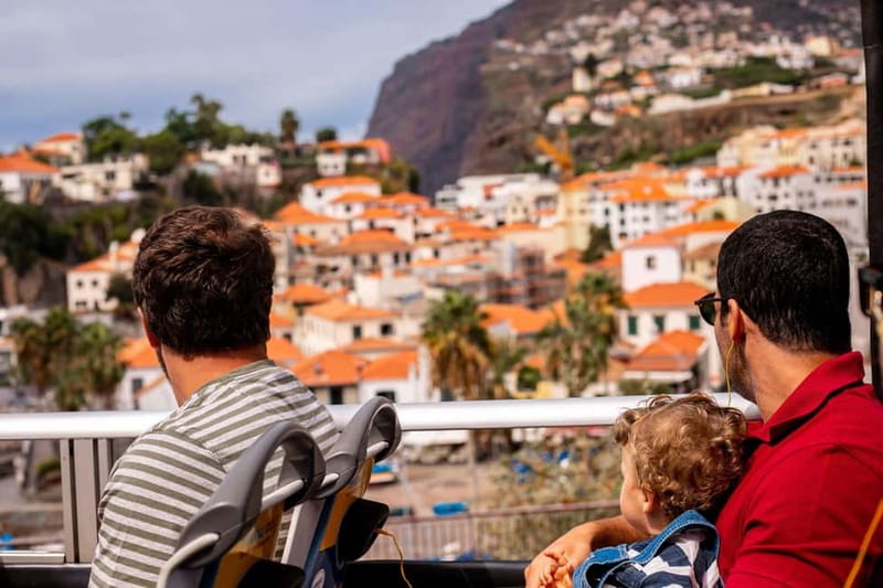 Funchal:Hop-on Hop-off Bus & Whale & Dolphin boat Excursion - Starting at Avenida do Mar