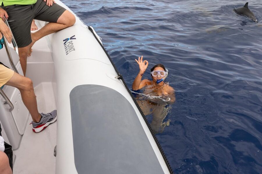 Funchal: RIB Whale Watching Cruise and Optional Dolphin Swim - Key points at a glance