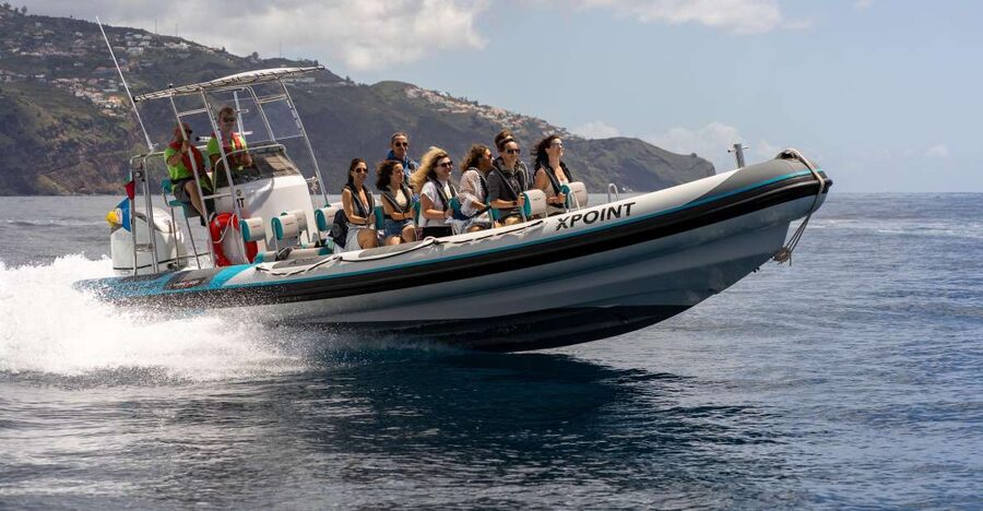 Funchal: RIB Whale Watching Cruise and Optional Dolphin Swim - Why this Funchal wildlife trip is different