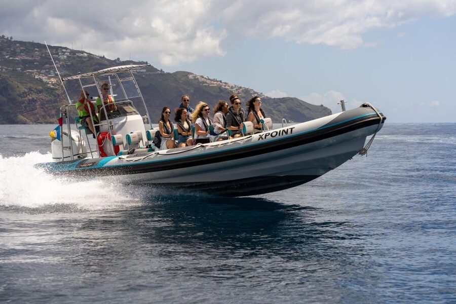 Funchal: RIB Whale Watching Cruise and Optional Dolphin Swim - The ride from Funchal into open water