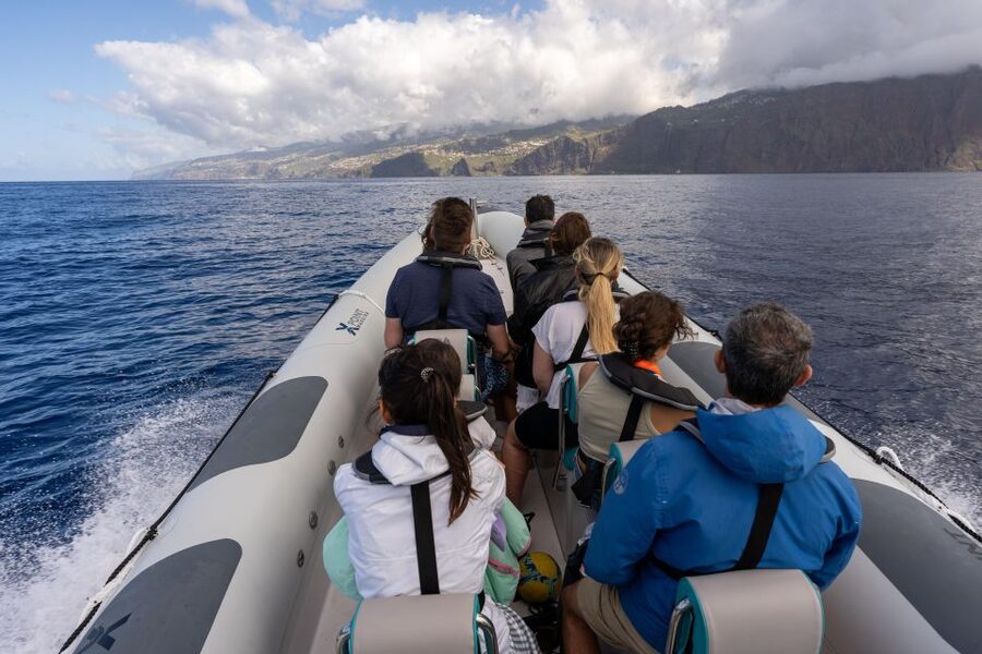 Funchal: RIB Whale Watching Cruise and Optional Dolphin Swim - How the trip compares with a catamaran