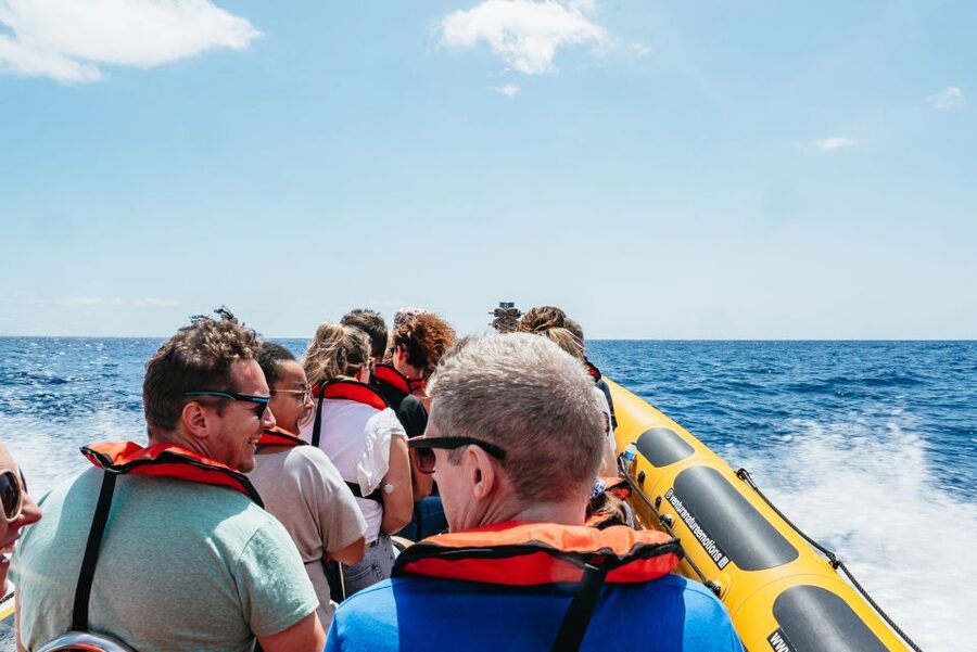 Funchal: Whale and Dolphin Watching Speed Boat Tour - Who should choose this Madeira tour?