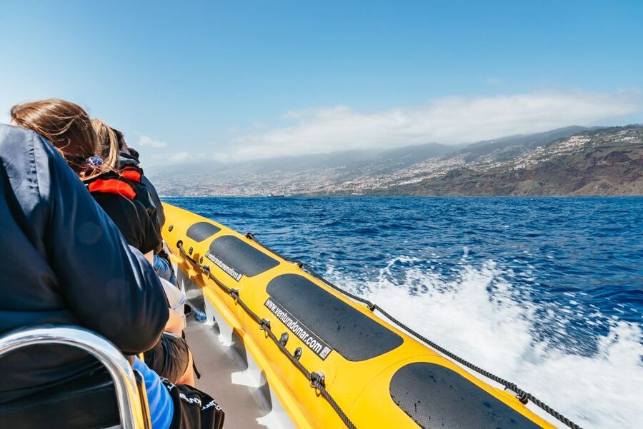 Funchal: Whale and Dolphin Watching Speed Boat Tour - Madeira’s coast is part of the tour