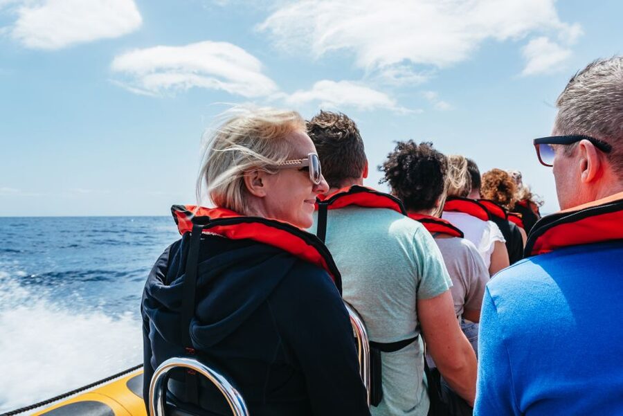 Funchal: Whale and Dolphin Watching Speed Boat Tour - Is $56 a fair price?