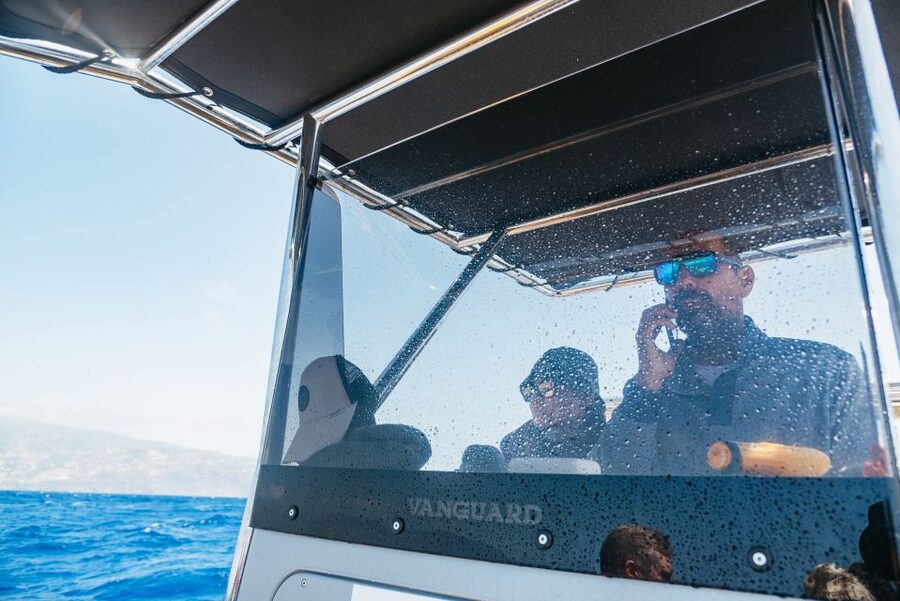 Funchal: Whale and Dolphin Watching Speed Boat Tour - Practical details that shape the day
