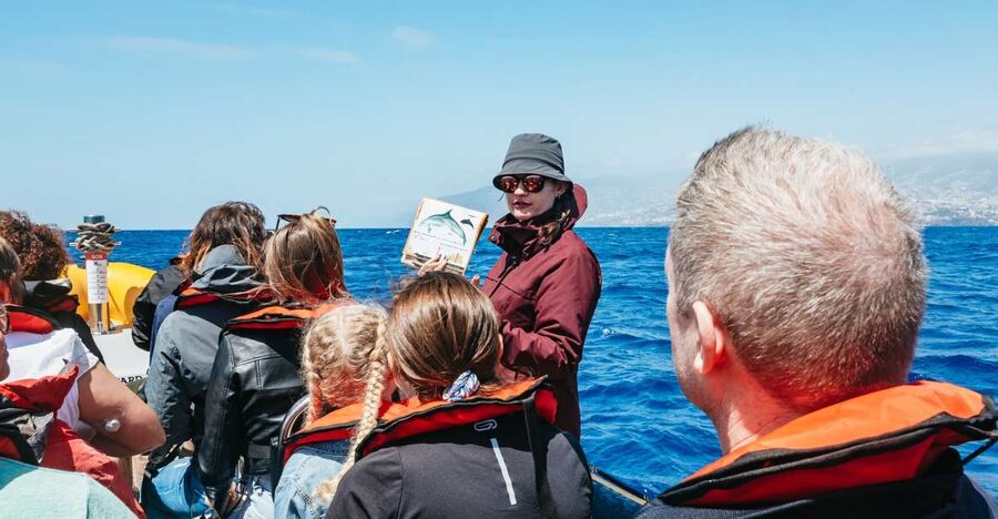 Funchal: Whale and Dolphin Watching Speed Boat Tour - Why land spotters matter in Madeira