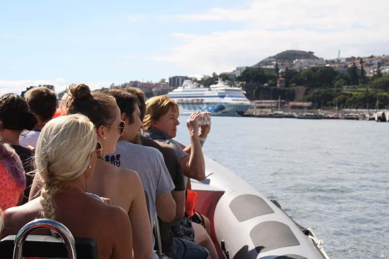 Funchal: Whale Watching and Swimming with Dolphins Cruise - Key points before you book