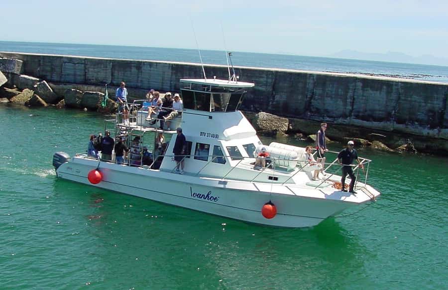 Gansbaai: Whale Watching Trip by Boat - Key points at a glance