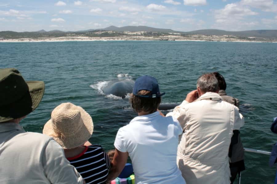 Gansbaai: Whale Watching Trip by Boat - Weather changes are part of the deal