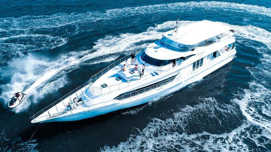 Gold Coast: Luxury Whale Watching Tour - Setting out from Marina Mirage