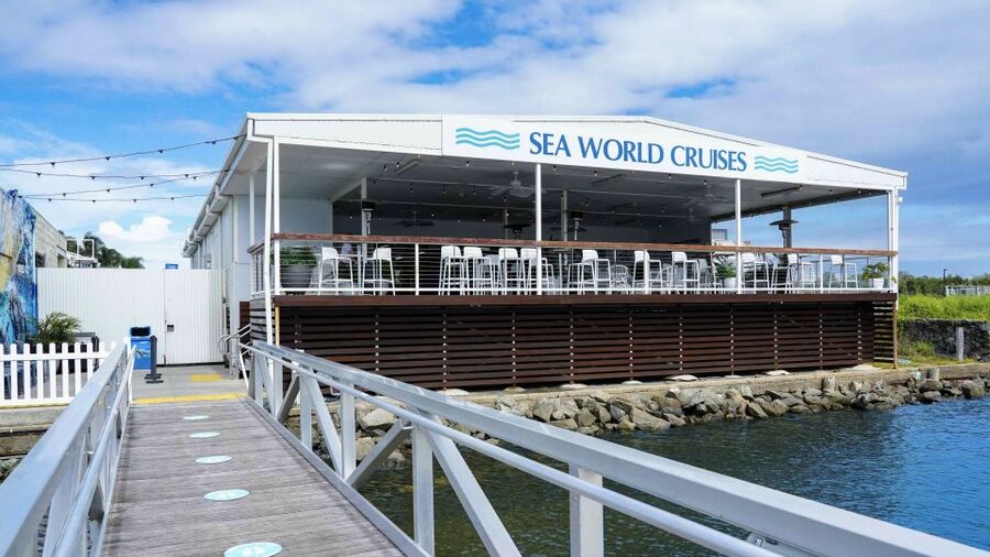 Gold Coast: Premium Whale Watching Cruise - Should you book Sea World Whale Watch?