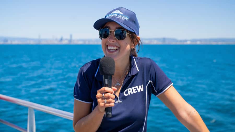 Gold Coast: Premium Whale Watching Cruise - Choosing the best time and preparing properly
