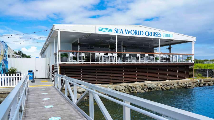 Gold Coast: Premium Whale Watching Cruise - Who will enjoy this cruise most