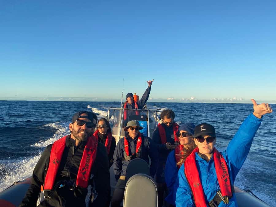 Gold Coast: Whale Watching - Starting at 139-151 Chinderah Bay Drive