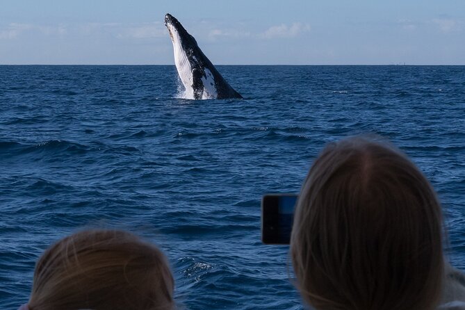 Gold Coast Whale Watching Cruise - Leaving Main Beach for the Gold Coast Seaway