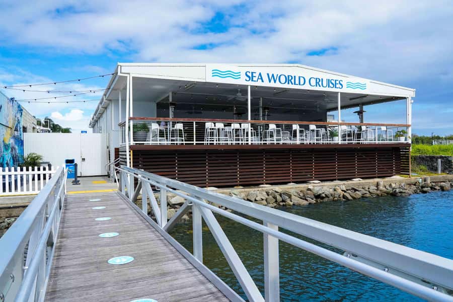 Gold Coast: Whale Watching Cruise & Sea World Entry - What the whale cruise feels like offshore