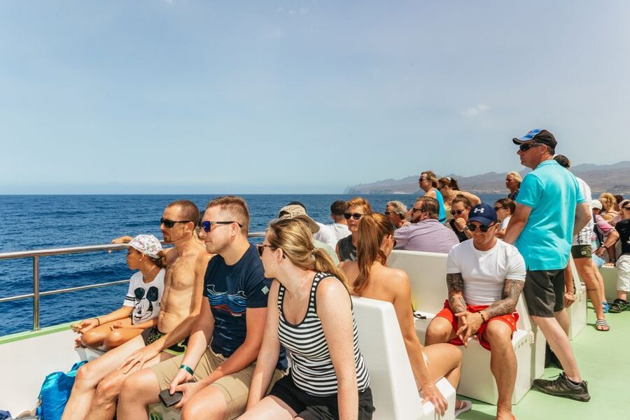Gran Canaria: Dolphin and Whale Watching Cruise - Is $41 good value?