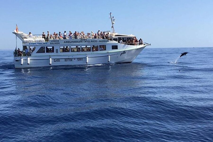 Gran Canaria: Dolphin and Whale Watching Cruise - The hotel pickup can change the length of your day
