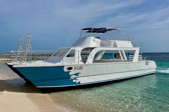 Grand Turk: Whale Watching - The marine biologist adds real value