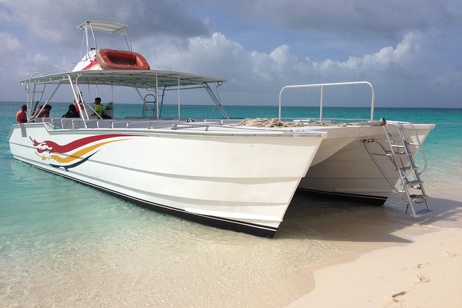 Grand Turk: Whale Watching - Weather, cancellation, and timing concerns