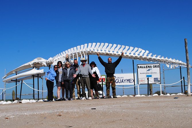 Gray Whale-Watching 2-Day Experience in Magdalena Bay - The First Boat Trip: Sunset Among Sand Dunes