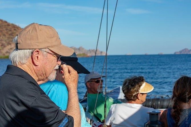 Gray Whale Watching Tour at Lopez Mateos - Why the Whale Encounter Is the Real Payoff