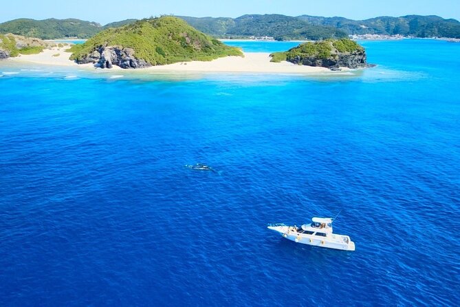 Great Whale Watching at Kerama Islands and Zamami Island - Why Zamami is a strong whale-watching base