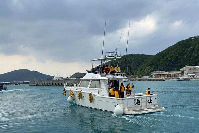 Great Whale Watching at Kerama Islands and Zamami Island - Searching the full 360-degree view