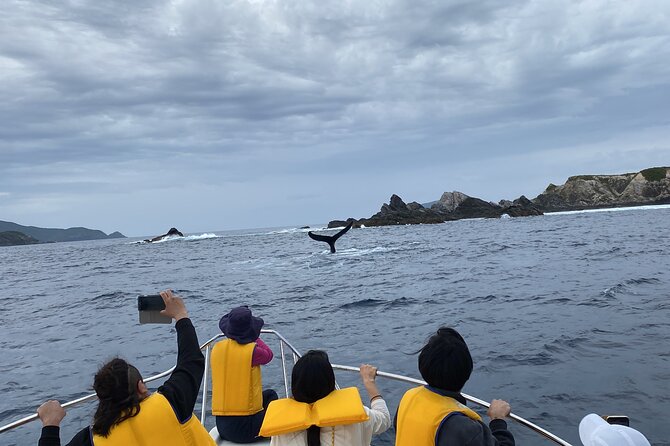 Great Whale Watching at Kerama Islands and Zamami Island - Group size, age limits, and safety rules