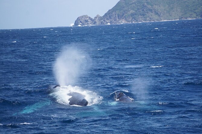 Great Whale Watching at Kerama Islands and Zamami Island - The short briefing before the boat leaves