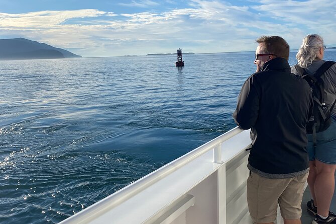 Guaranteed Whale Watch Tour from Anacortes - What $119 Buys You