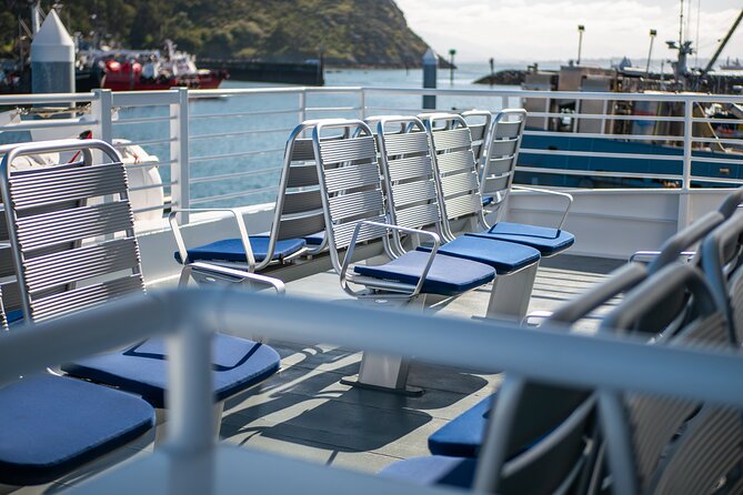 Guaranteed Whale Watch Tour from Anacortes - Timing, Weather, and Practical Details