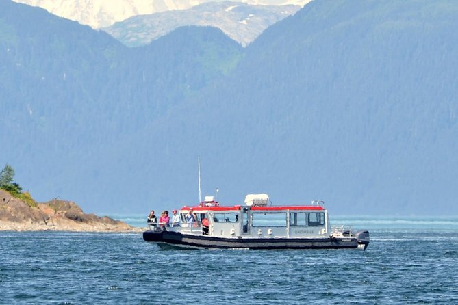 Guaranteed Whale Watching Adventure - Point Adolphus and the search for humpbacks
