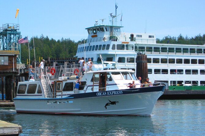 Guaranteed Whale Watching Tour - Two summer departures give you some breathing room