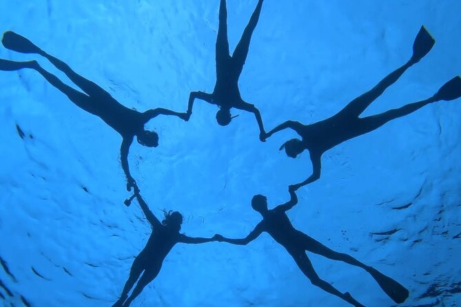 Guided Small Group Whale Watching and Swim Tour Tahiti - What is included on board