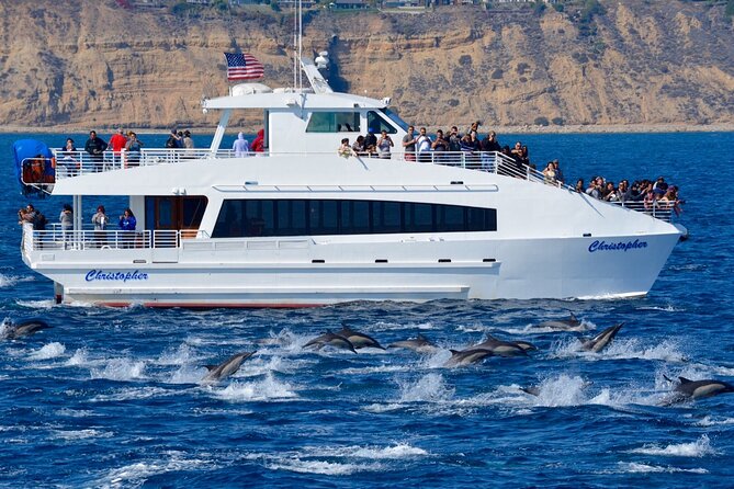 Guided Whale Watching Tour from Long Beach - Choosing the best place to watch