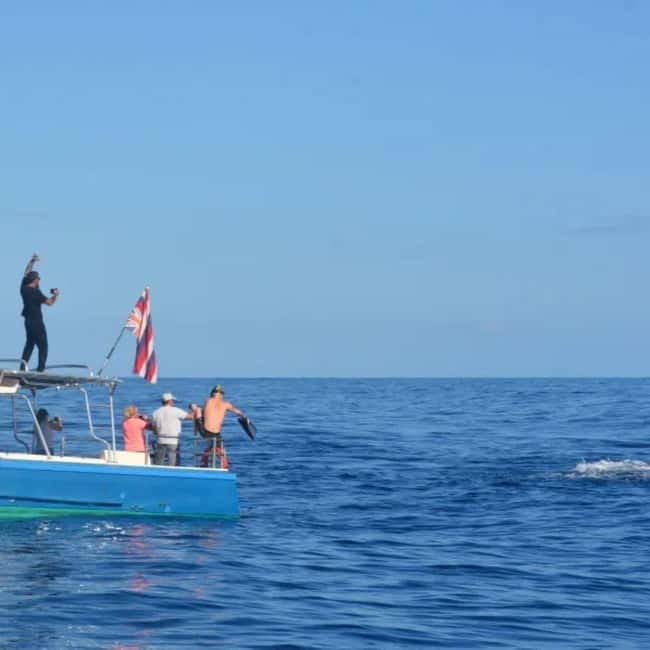 Haleiwa: North Shore Whale Watching Tour by Catamaran - Key points to know before you go