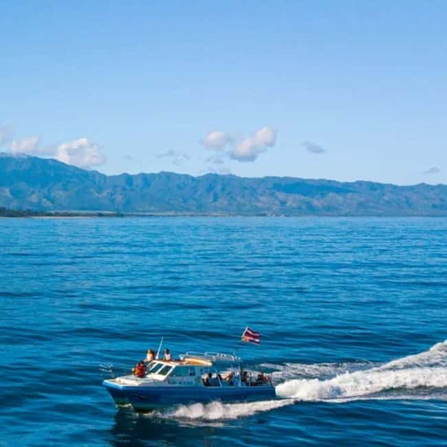 Haleiwa: North Shore Whale Watching Tour by Catamaran - Who should book this Haleiwa whale tour?