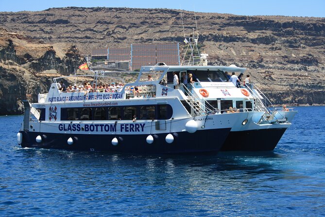 Half-Day Cruise Tour-Dolphin and Whale Watching - Is $44.65 good value?