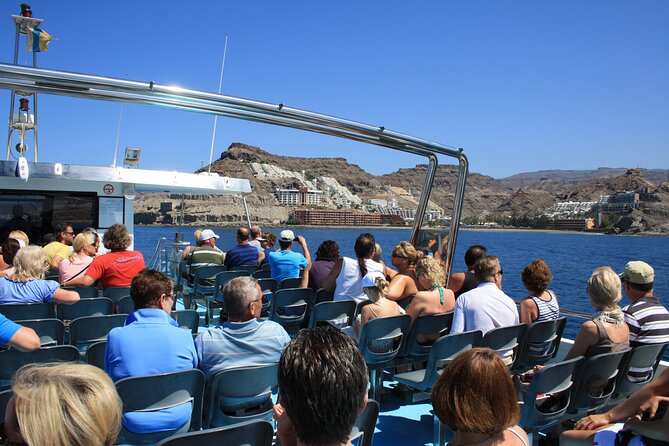 Half-Day Cruise Tour-Dolphin and Whale Watching - Who will enjoy this half-day cruise?