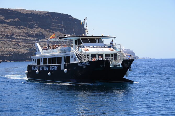 Half-Day Cruise Tour-Dolphin and Whale Watching - Cancellation and practical details