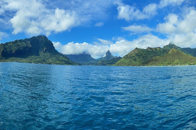 Half-Day Humpback Whales Encounter in Moorea - Why Moorea is a special place for whale watching