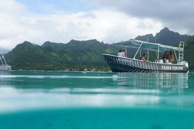 Half-Day Humpback Whales Encounter in Moorea - The safety briefing comes first