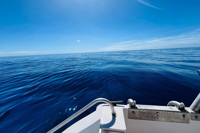 Half-Day Humpback Whales Encounter in Moorea - Swimming is optional, and six people enter at once